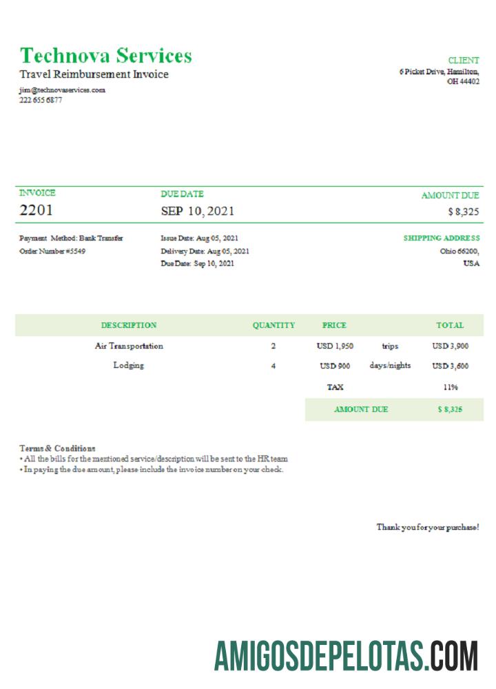 Fatura de serviços Technova dos EUA modelo